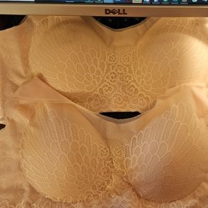 Nula Bras - 2